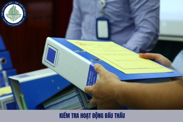 Kiểm tra hoạt động đấu thầu được thực hiện theo phương thức nào?